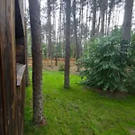 Lubiana180 Scandi Wsrod Drzew Jacuzzi Sauna Kominek I Taras Na Dachu Jezioro Kaszuby Pieski Tylko Do 10kg Za Dodatkowa Oplata 度假居 Grzybowo (Pomerania)