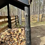 度假居 Lubiana180 Scandi Wsrod Drzew Jacuzzi Sauna Kominek I Taras Na Dachu Jezioro Kaszuby Pieski Tylko Do 10kg Za Dodatkowa Oplata Grzybowo (Pomerania)