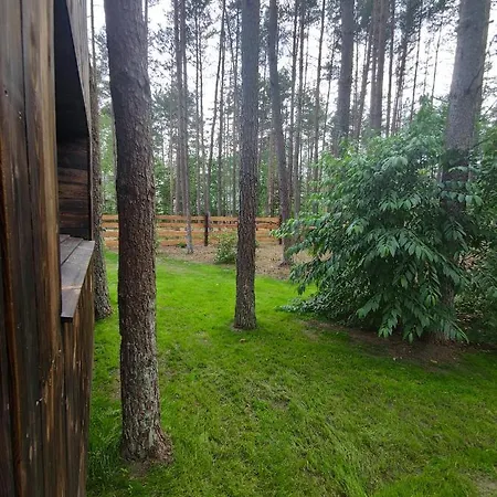 Lubiana180 Scandi Wsrod Drzew Jacuzzi Sauna Kominek I Taras Na Dachu Jezioro Kaszuby Pieski Tylko Do 10kg Za Dodatkowa Oplata Ferienhaus Grzybowo (Pomerania)