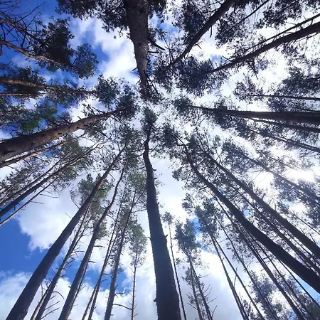 Lubiana180 Scandi Wsrod Drzew Jacuzzi Sauna Kominek I Taras Na Dachu Jezioro Kaszuby Pieski Tylko Do 10kg Za Dodatkowa Oplata Casa vacanze