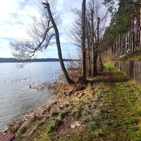 Lubiana180 Scandi Wsrod Drzew Jacuzzi Sauna Kominek I Taras Na Dachu Jezioro Kaszuby Pieski Tylko Do 10kg Za Dodatkowa Oplata Grzybowo (Pomerania)