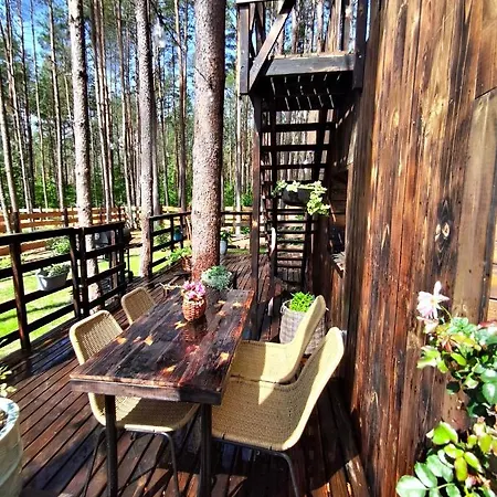 Lubiana180 Scandi Wsrod Drzew Jacuzzi Sauna Kominek I Taras Na Dachu Jezioro Kaszuby Pieski Tylko Do 10kg Za Dodatkowa Oplata Ferienhaus Grzybowo (Pomerania)