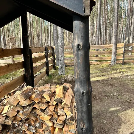 Ferienhaus Lubiana180 Scandi Wsrod Drzew Jacuzzi Sauna Kominek I Taras Na Dachu Jezioro Kaszuby Pieski Tylko Do 10kg Za Dodatkowa Oplata Grzybowo (Pomerania)