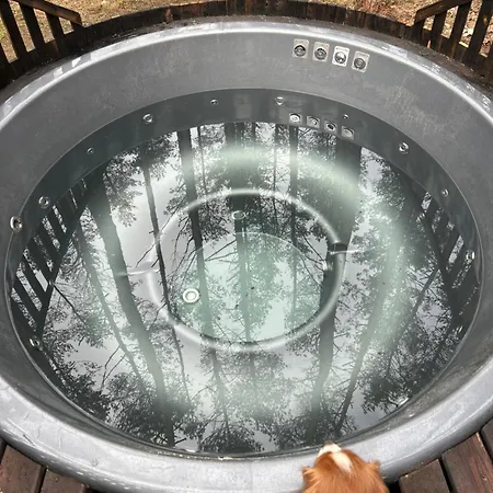 Ferienhaus Lubiana180 Scandi Wsrod Drzew Jacuzzi Sauna Kominek I Taras Na Dachu Jezioro Kaszuby Pieski Tylko Do 10kg Za Dodatkowa Oplata Grzybowo (Pomerania)