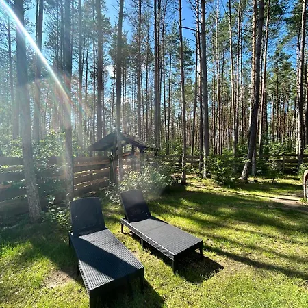 Lubiana180 Scandi Wsrod Drzew Jacuzzi Sauna Kominek I Taras Na Dachu Jezioro Kaszuby Pieski Tylko Do 10kg Za Dodatkowa Oplata Ferienhaus Grzybowo (Pomerania)