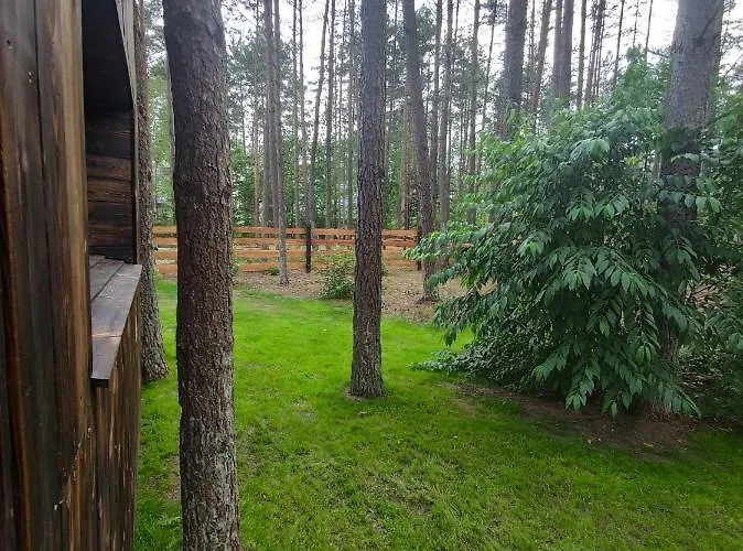 Lubiana180 Scandi Wsrod Drzew Jacuzzi Sauna Kominek I Taras Na Dachu Jezioro Kaszuby Pieski Tylko Do 10kg Za Dodatkowa Oplata Semesterbostad Grzybowo (Pomerania)