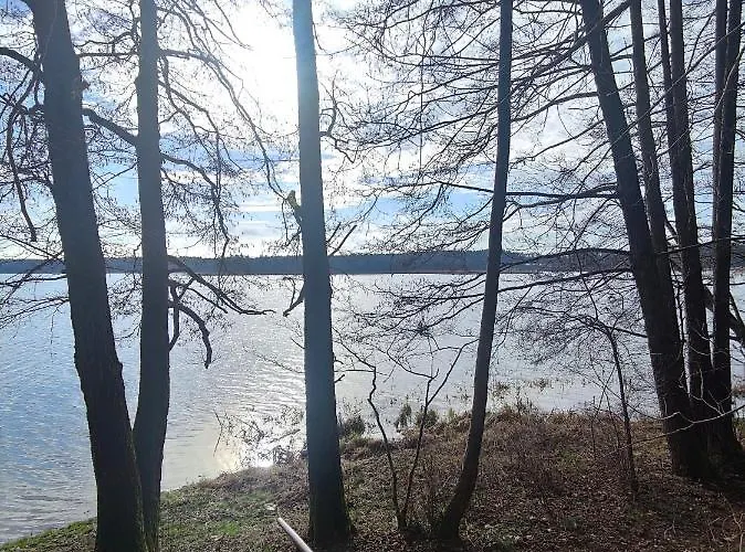 Lubiana180 Scandi Wsrod Drzew Jacuzzi Sauna Kominek I Taras Na Dachu Jezioro Kaszuby Pieski Tylko Do 10kg Za Dodatkowa Oplata