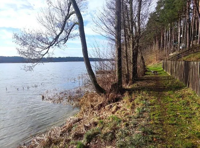 Lubiana180 Scandi Wsrod Drzew Jacuzzi Sauna Kominek I Taras Na Dachu Jezioro Kaszuby Pieski Tylko Do 10kg Za Dodatkowa Oplata Grzybowo (Pomerania)