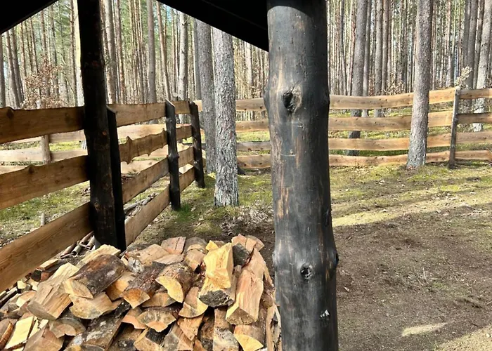 Semesterbostad Lubiana180 Scandi Wsrod Drzew Jacuzzi Sauna Kominek I Taras Na Dachu Jezioro Kaszuby Pieski Tylko Do 10kg Za Dodatkowa Oplata Grzybowo (Pomerania)