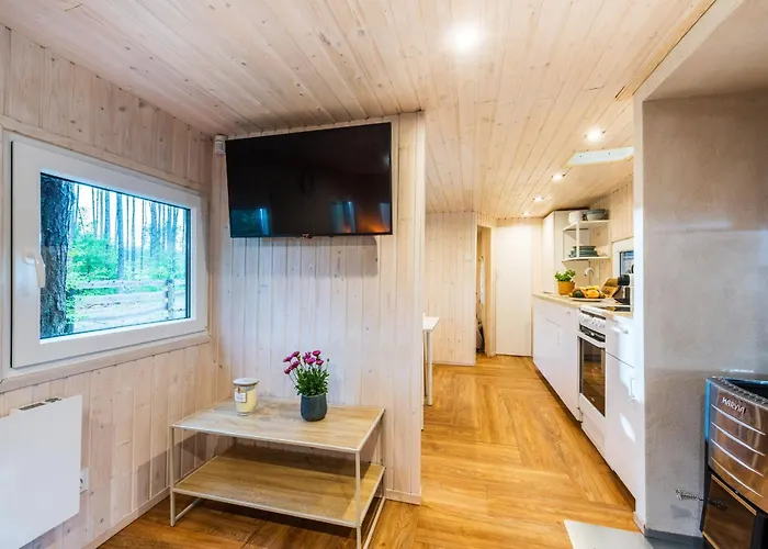 Lubiana180 Scandi Wsrod Drzew Jacuzzi Sauna Kominek I Taras Na Dachu Jezioro Kaszuby Pieski Tylko Do 10kg Za Dodatkowa Oplata