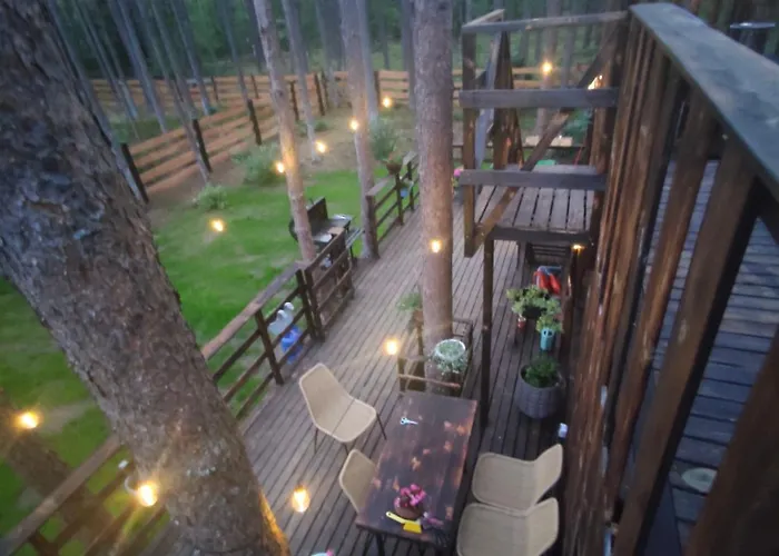 Semesterbostad Lubiana180 Scandi Wsrod Drzew Jacuzzi Sauna Kominek I Taras Na Dachu Jezioro Kaszuby Pieski Tylko Do 10kg Za Dodatkowa Oplata