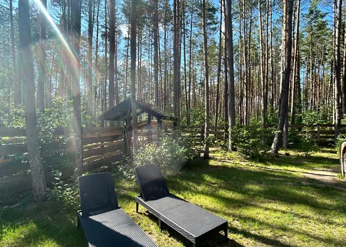 Lubiana180 Scandi Wsrod Drzew Jacuzzi Sauna Kominek I Taras Na Dachu Jezioro Kaszuby Pieski Tylko Do 10kg Za Dodatkowa Oplata Semesterbostad Grzybowo (Pomerania)