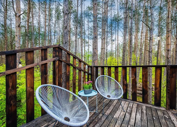 Lubiana180 Scandi Wsrod Drzew Jacuzzi Sauna Kominek I Taras Na Dachu Jezioro Kaszuby Pieski Tylko Do 10kg Za Dodatkowa Oplata